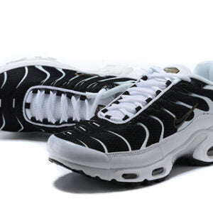 Air Max Tn 1 ‘Killer Whale’