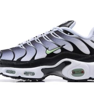 Air Max Plus TN1 “Seafoan”