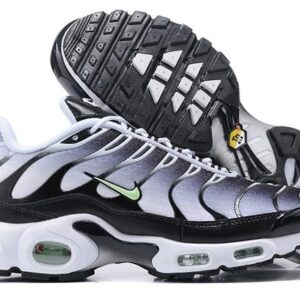 Air Max Plus TN1 “Seafoan”