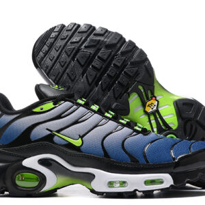 Air Max Plus TN 1 “Icons”