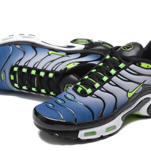 Air Max Plus TN 1 “Icons”