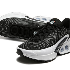 Air Max DN “Black/White”